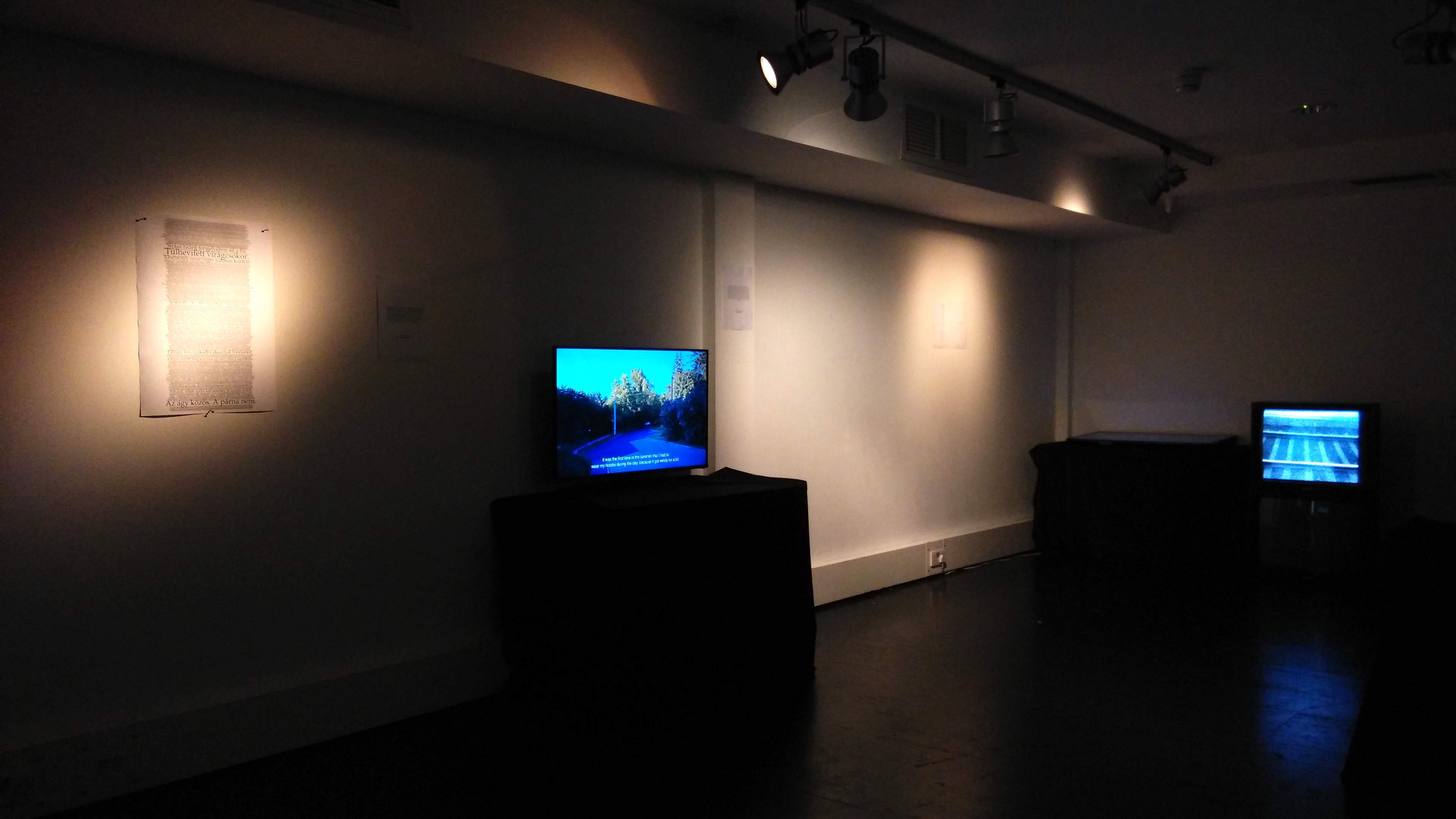 EgyVienasOne exhibition