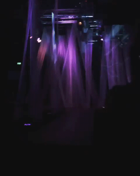 GSA Fashion Show Projections